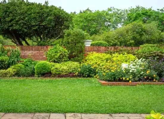 landscaping services Sandia Heights